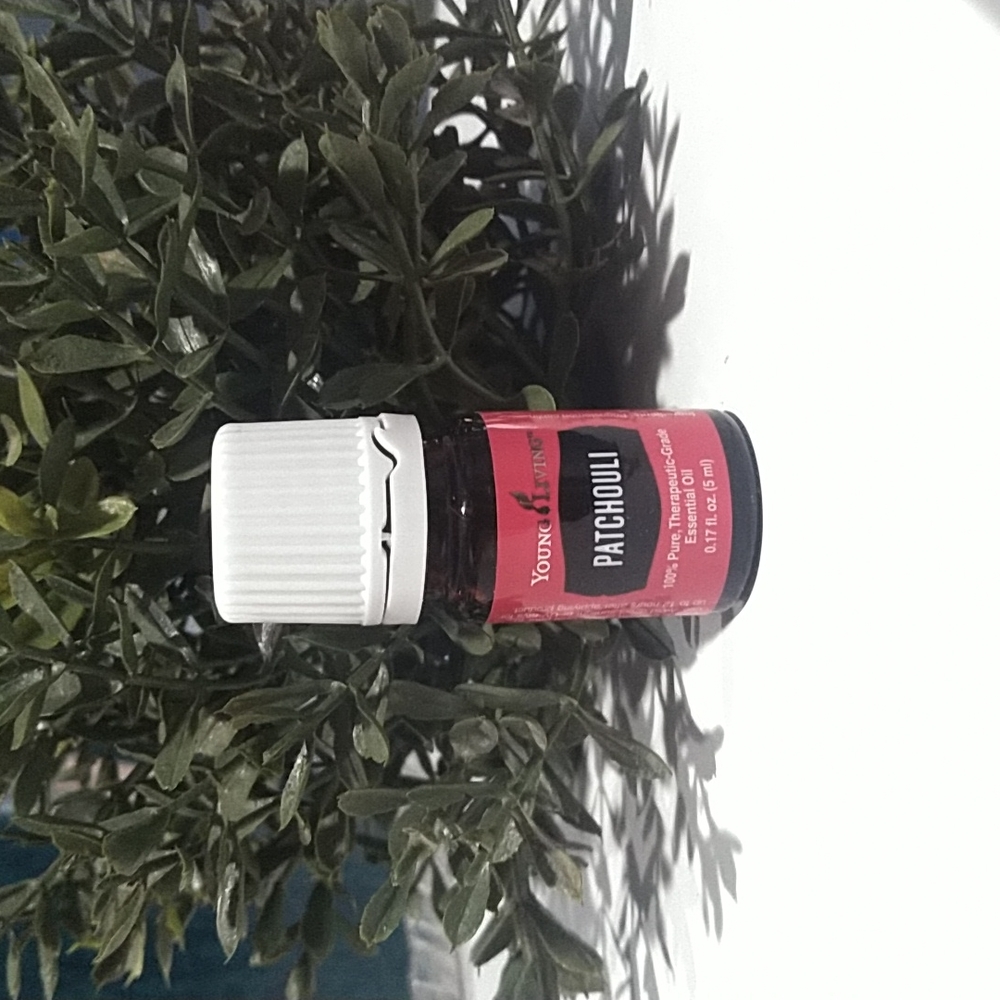 YL oil Patchouli
